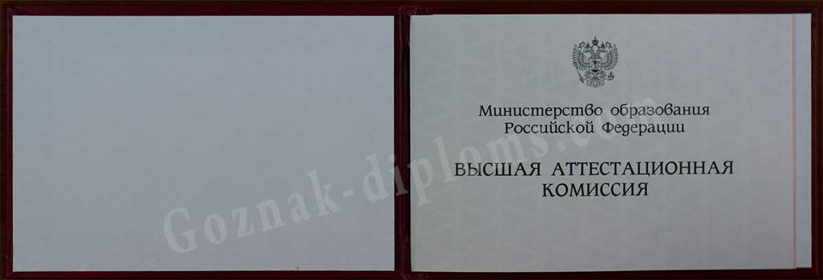Диплом кандидата наук 2007-2026